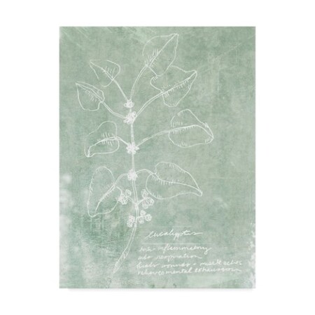 Jarman Fagalde 'Essential Botanicals I' Canvas Art,24x32